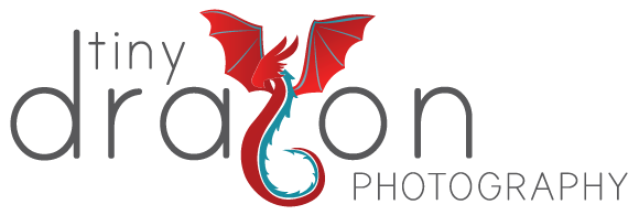 Tiny Dragon Photography